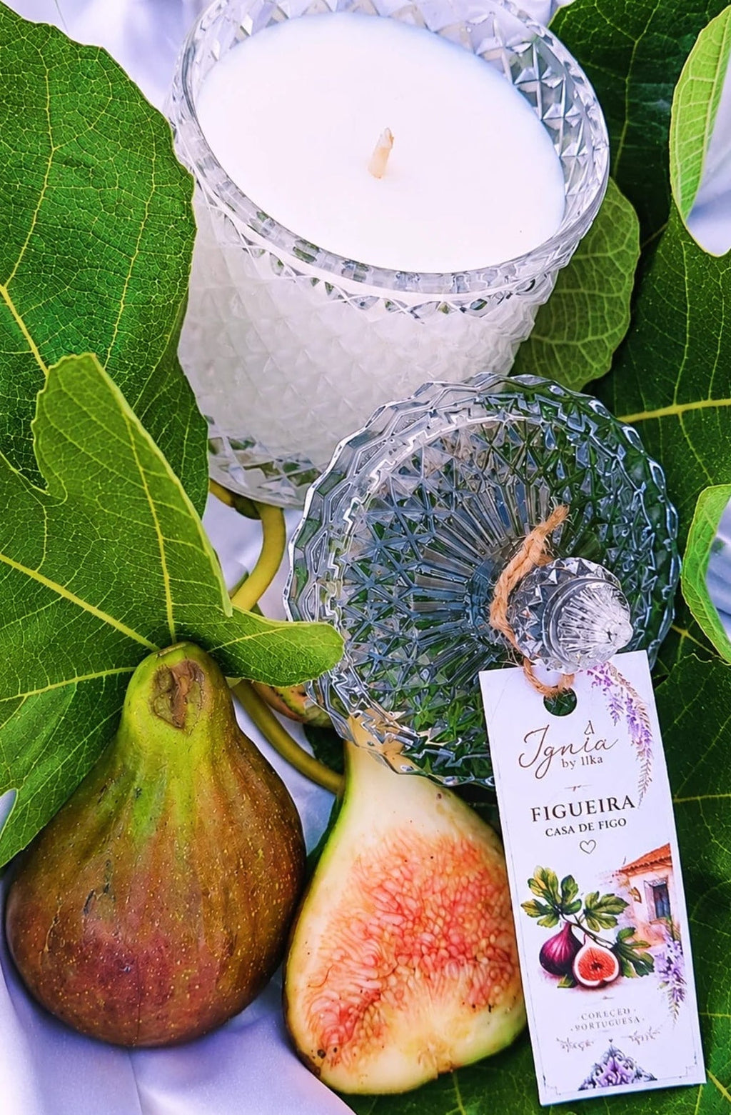 Vela Figueira | Cera de Soja Natural