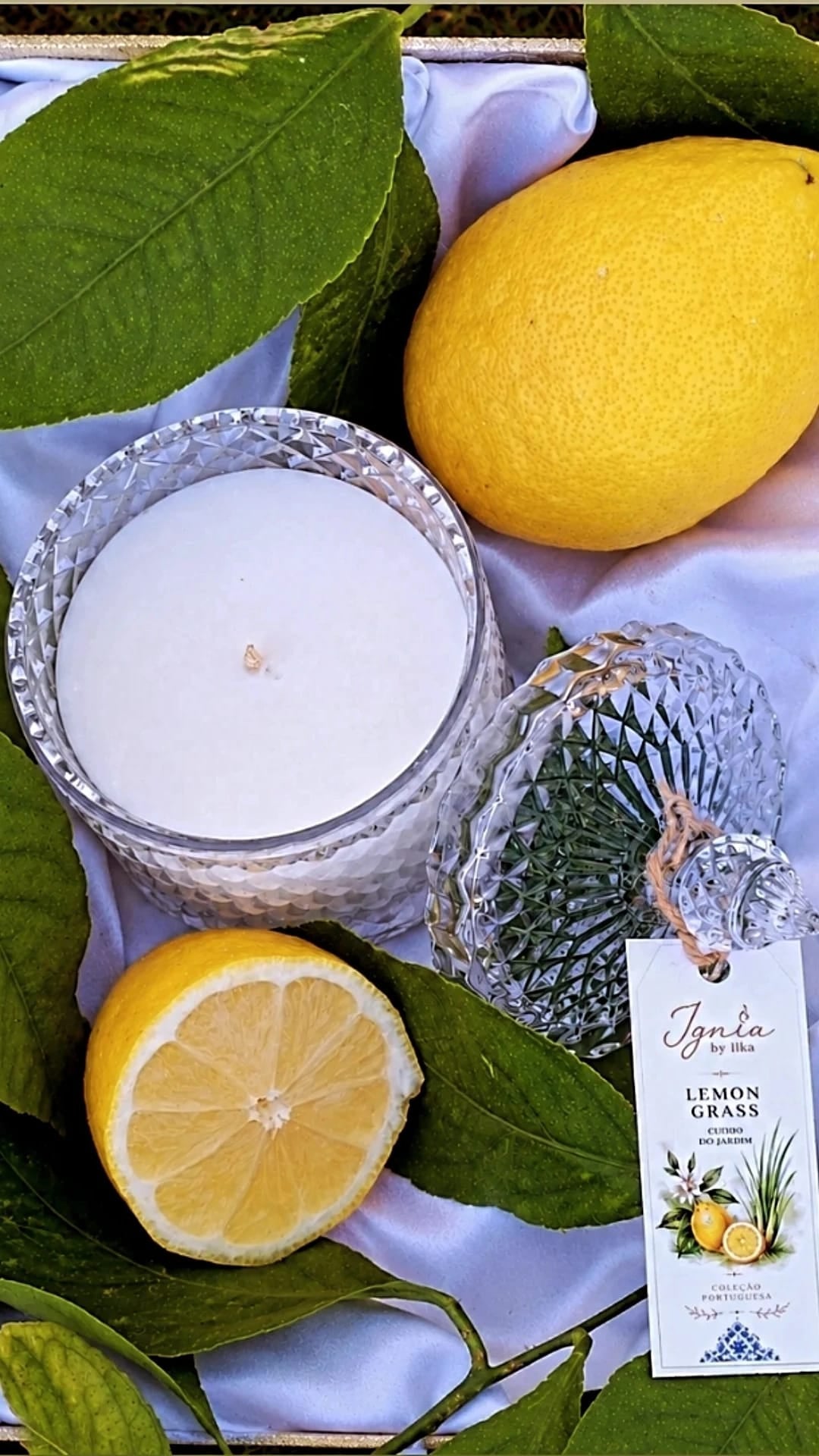 Vela Lemongrass | Cera de Soja Natural